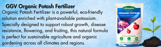 Organic Potash Fertilizer