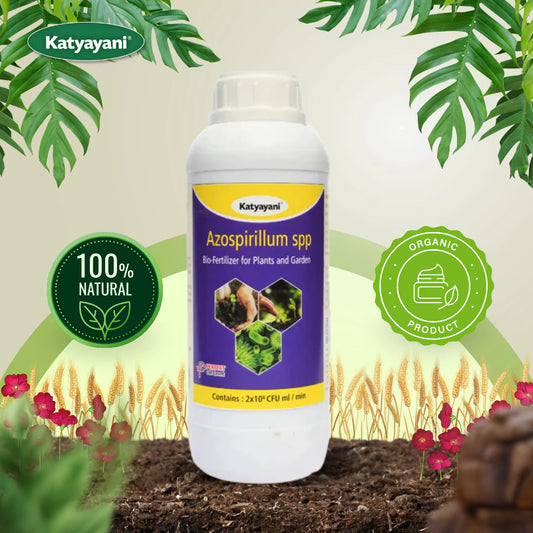 GGV Katyayani Azospirillum Bio Fertilizer