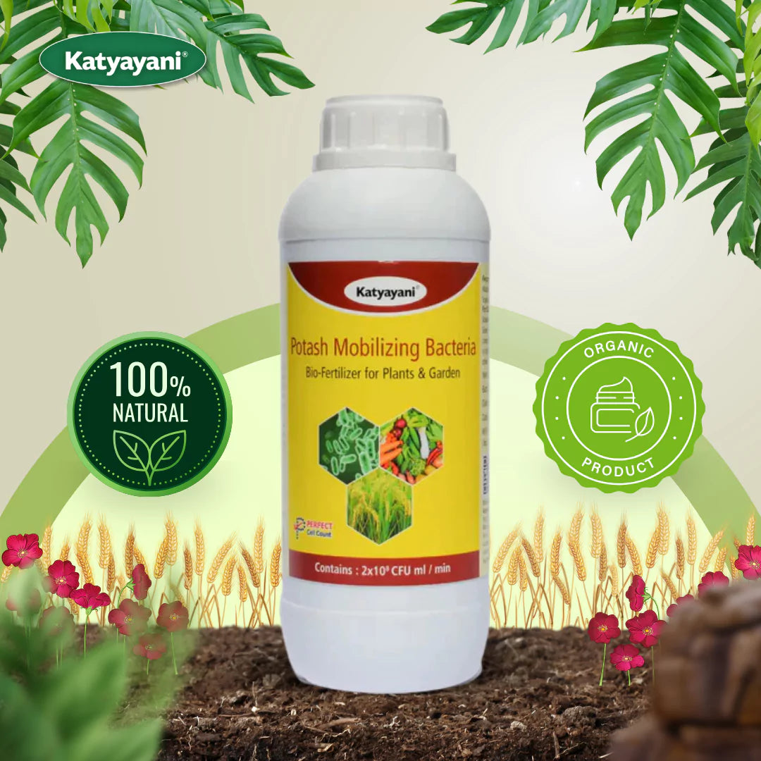 GGV Potash Mobilizing Bacteria Bio fertilizer