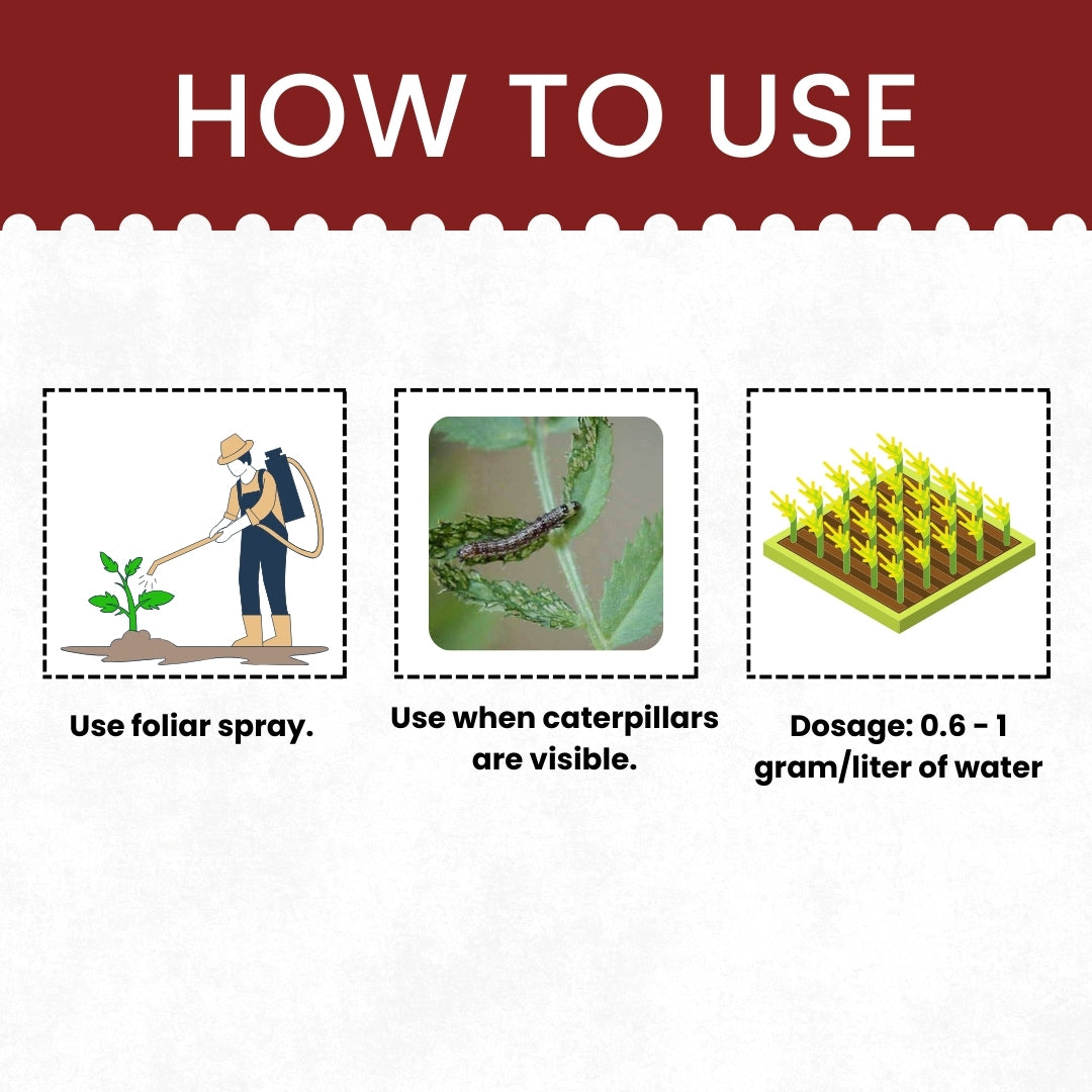GGV Katyayani EMA 5 Triple Kill Pack – Buy 1, Get 2 Free | Emamectin Benzoate 5% SG Insecticide