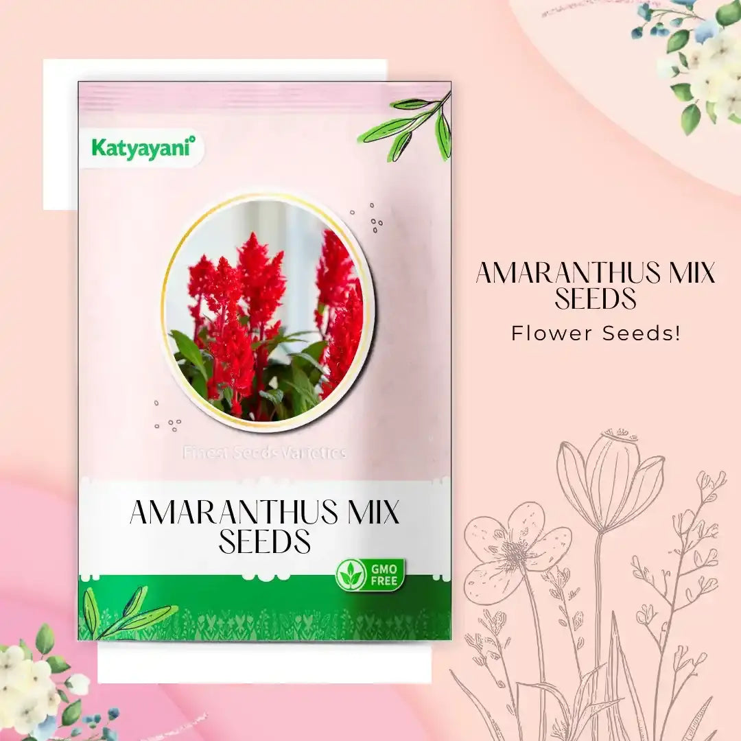 GGV Amaranthus Mix Flowering Seeds