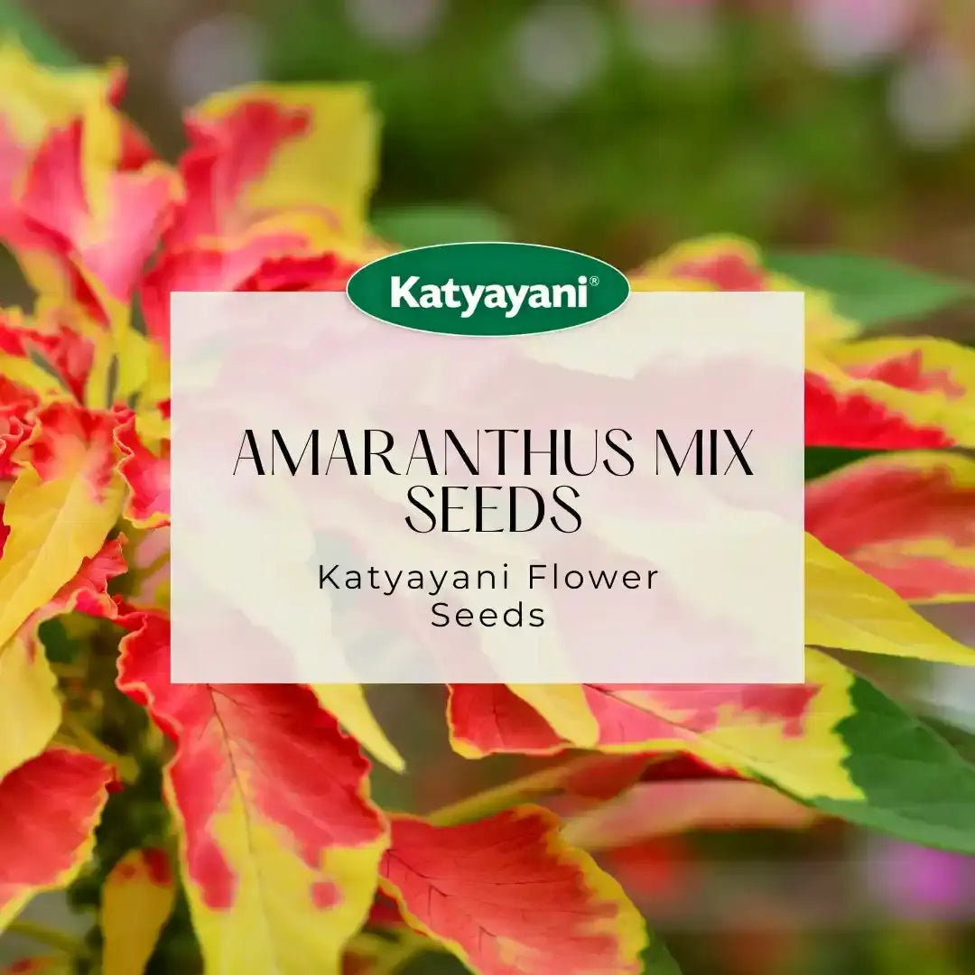GGV Amaranthus Mix Flowering Seeds