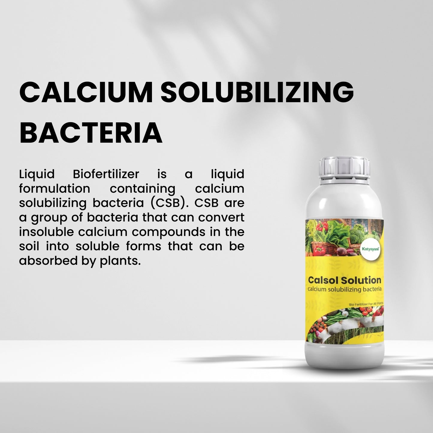 GGV Calcium Solubilizing Bacteria Bio Fertiliser