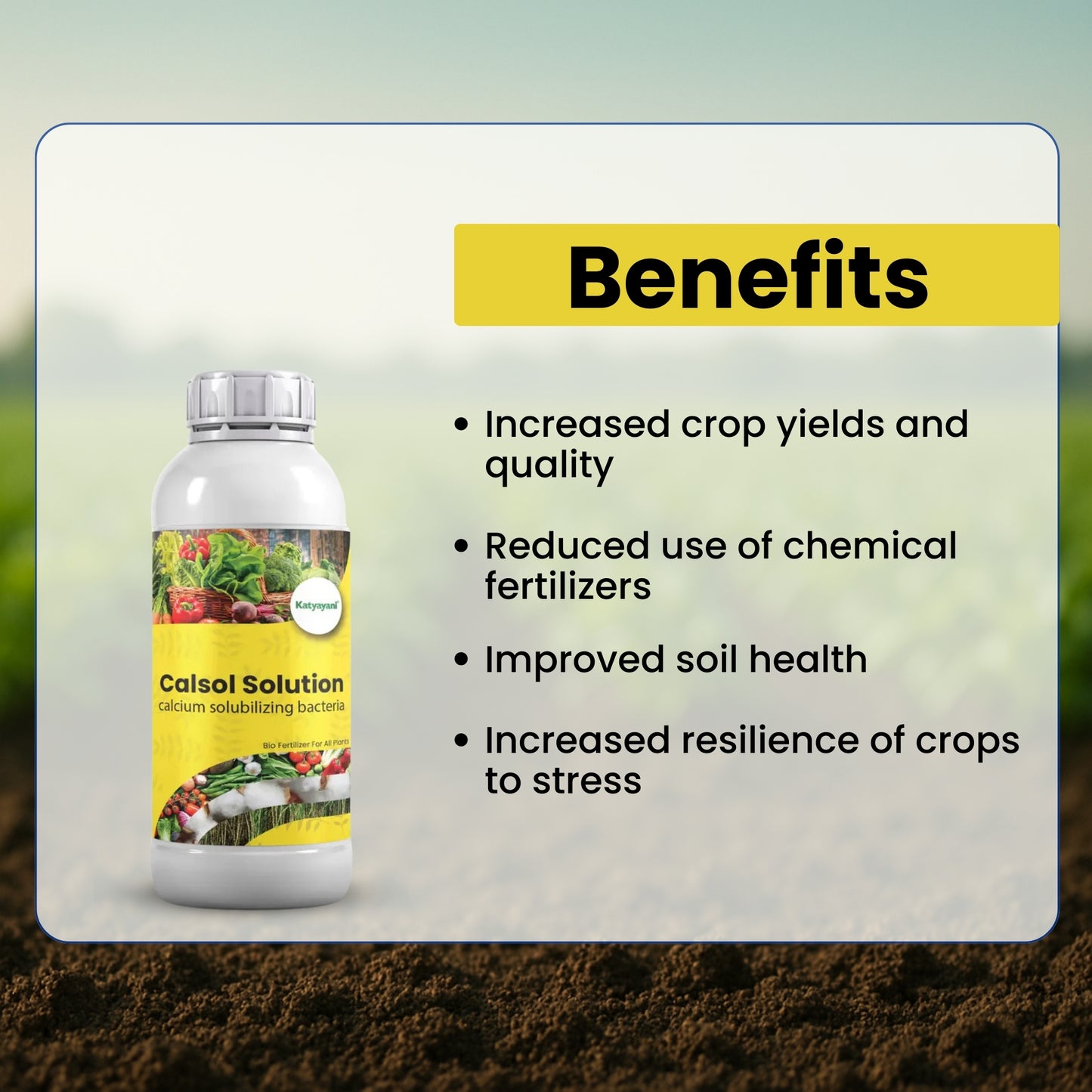 GGV Calcium Solubilizing Bacteria Bio Fertiliser