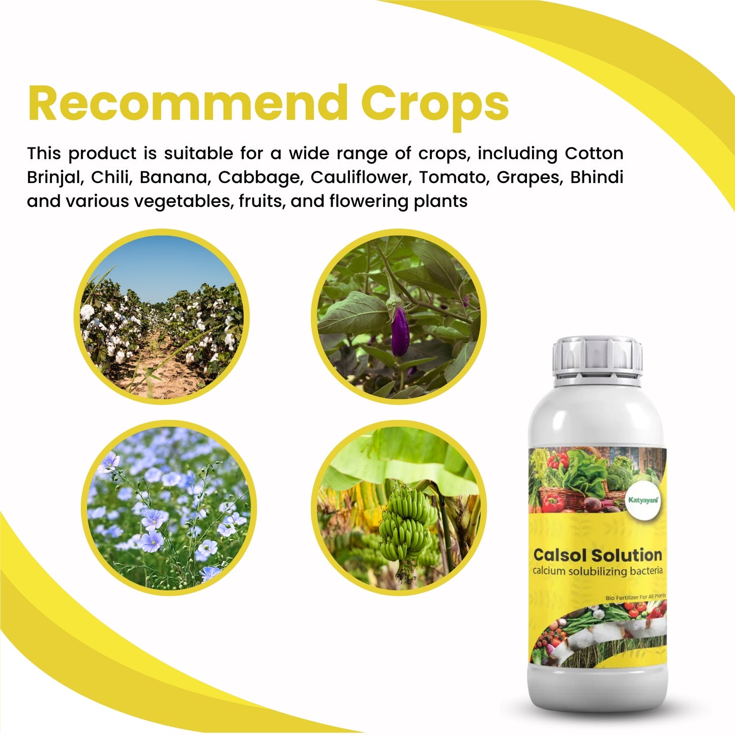 GGV Calcium Solubilizing Bacteria Bio Fertiliser