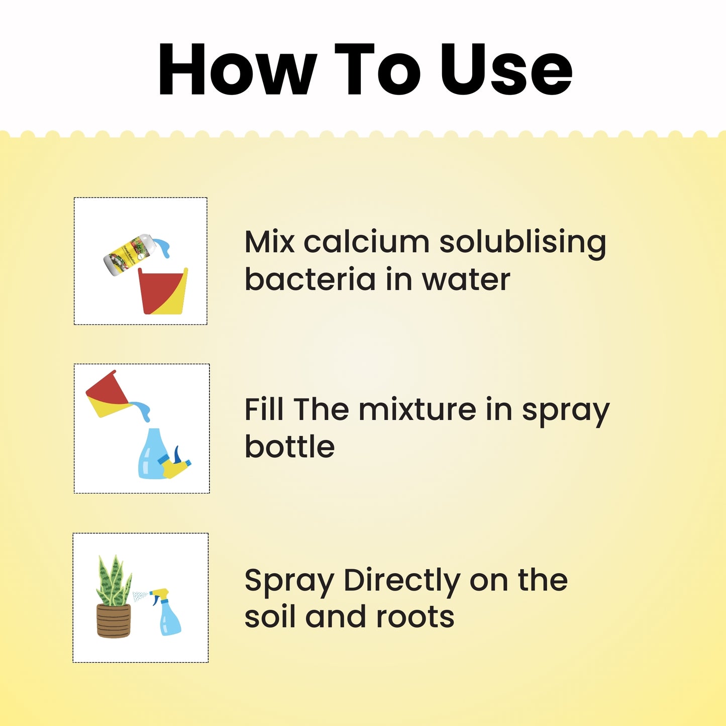 GGV Calcium Solubilizing Bacteria Bio Fertiliser