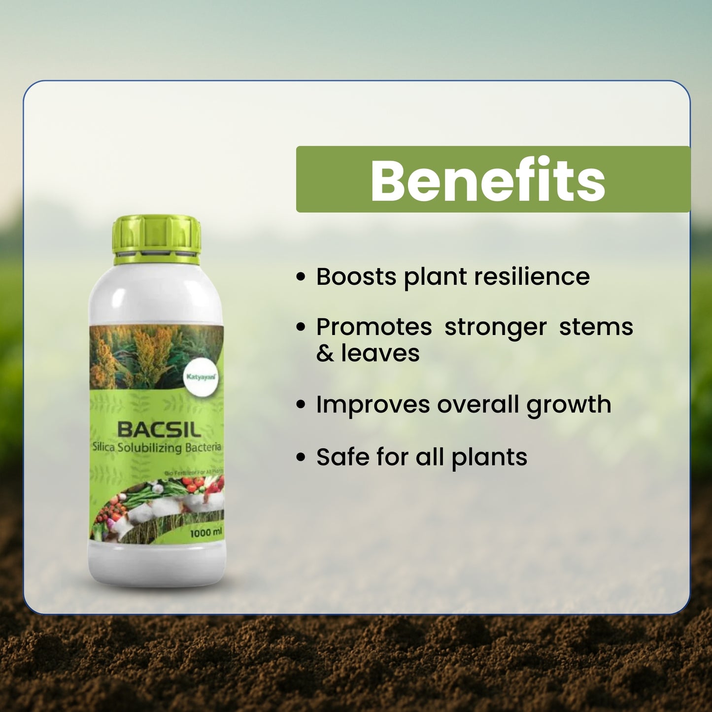 GGV BACSIL - SILICA SOLUBILIZING BACTERIA