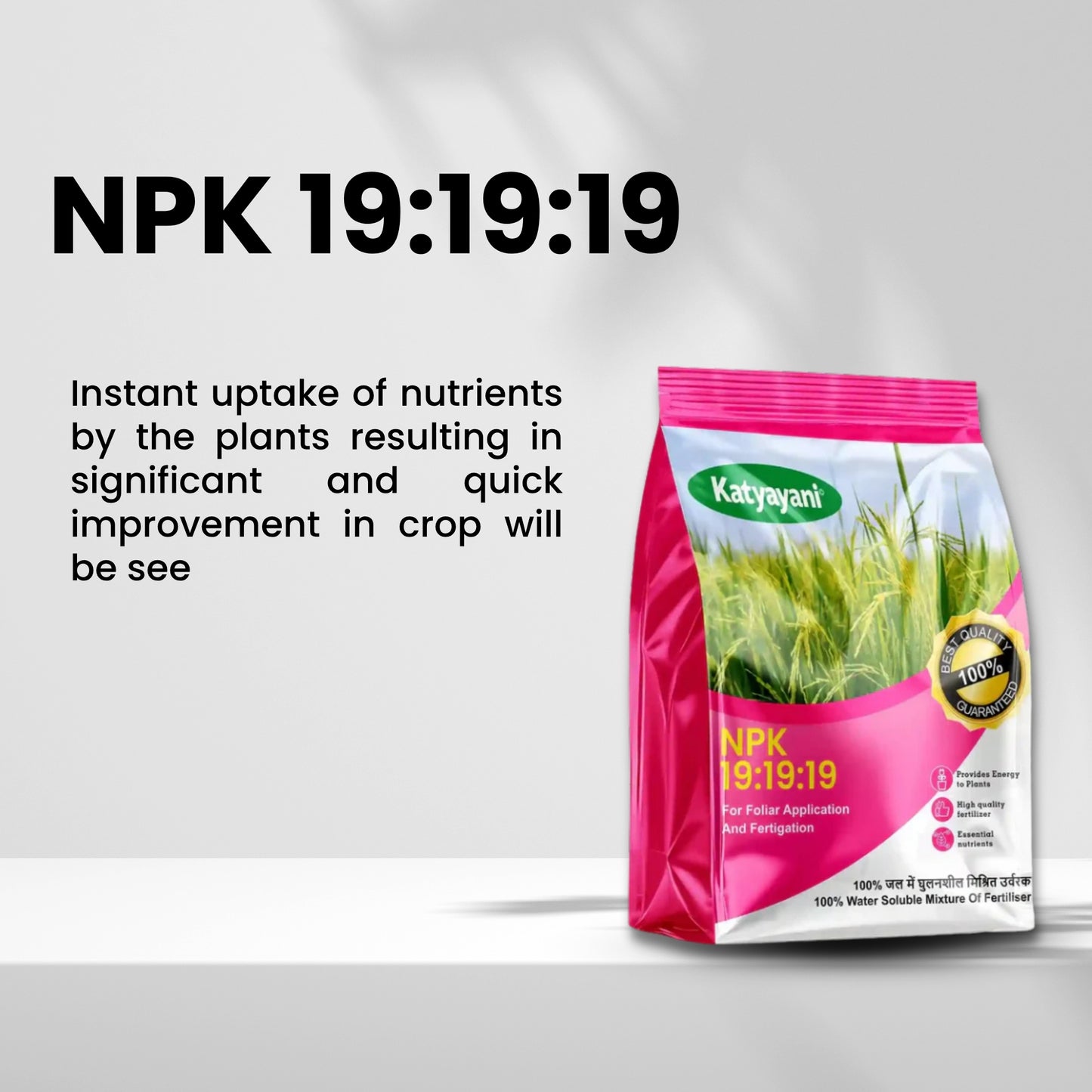 NPK 19-19-19 Water Soluble Fertilizer for Plants – Fast Growth & All-in-One Nutrition | Available in UAE