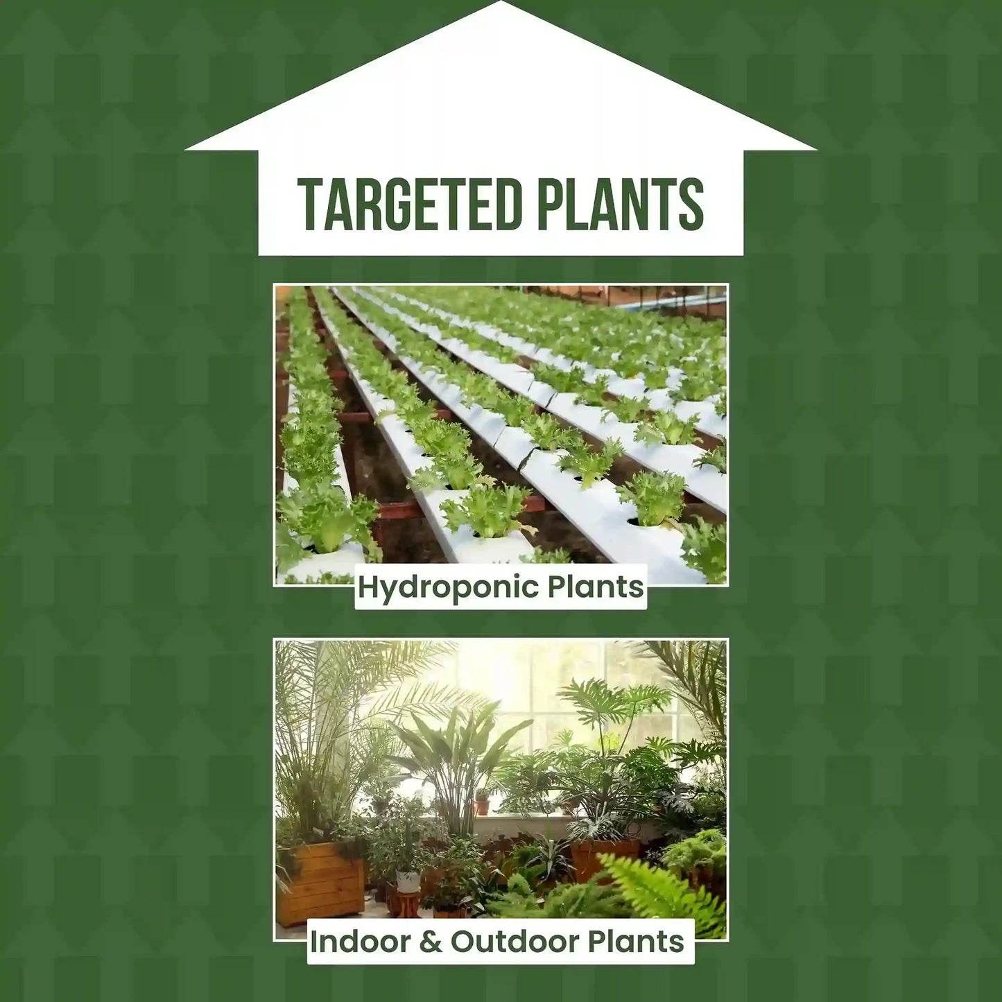 Two images of plants, one labeled 'Hydroponic Plants' and the other 'Indoor & Outdoor Plants', on a green background with 'TARGETED PLANTS' text.