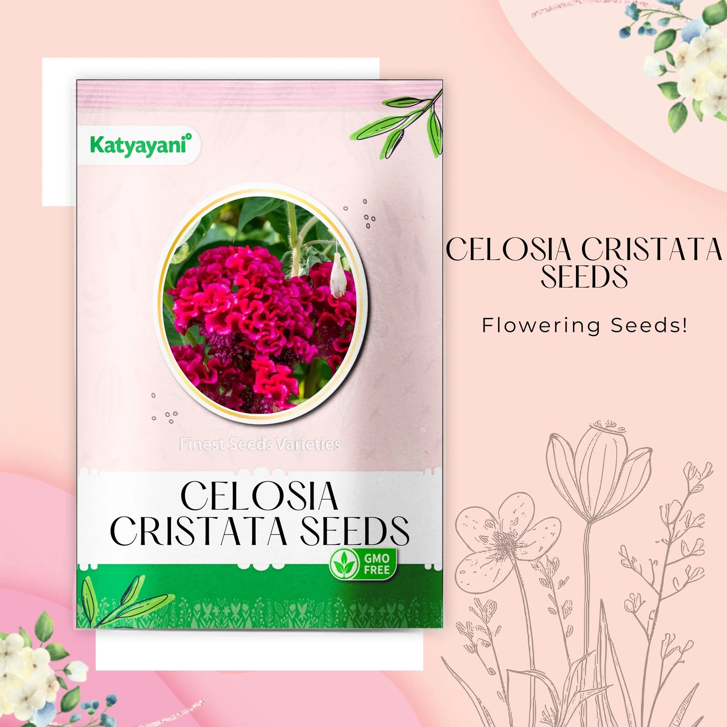 GGV Celosia Cristata Flowering Seeds