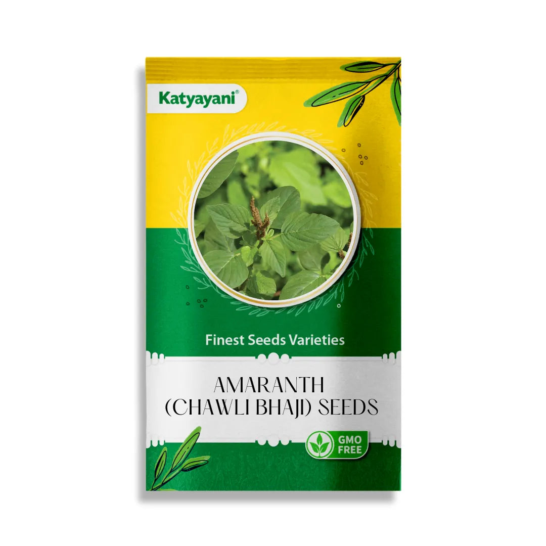 GGV Amaranth (Chawli Bhaji) Vegetable Seeds