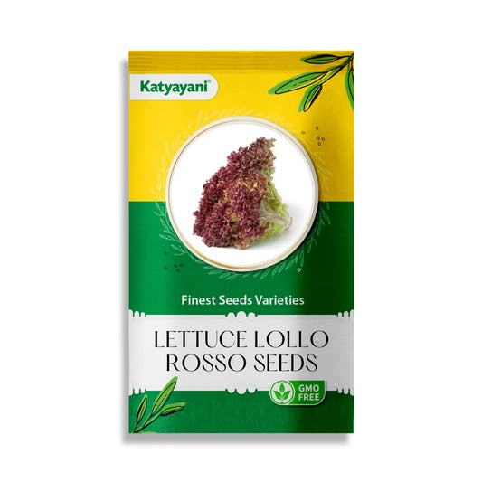 GGV Lettuce Lollo Rosso Vegetable Seeds