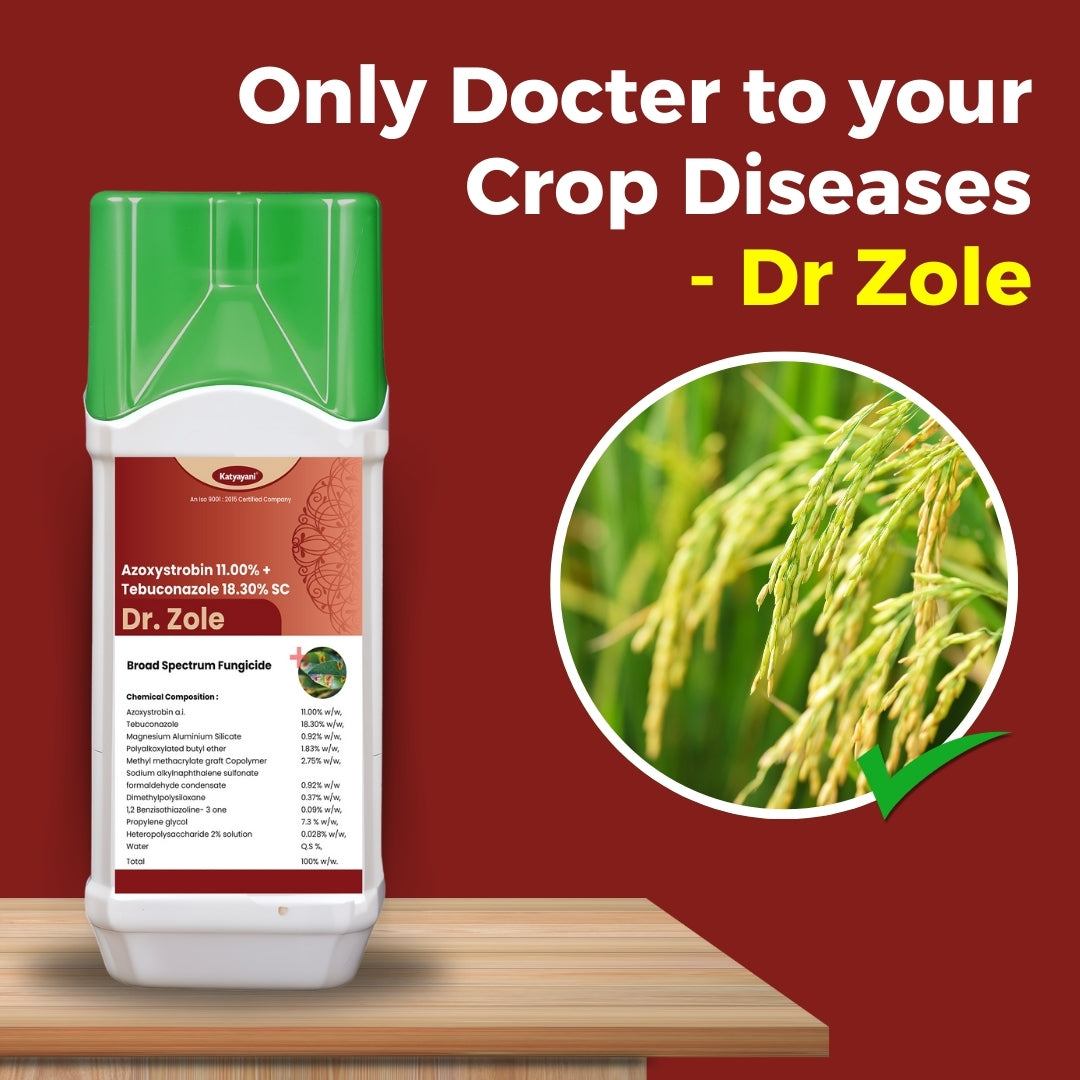 GGV Dr. Zole | Azoxystrobin 11% + Tebuconazole 18.3% SC đ„ Systemic Fungicide for Powdery Mildew, Blight & Rust đ Buy 1 Get 2 Free