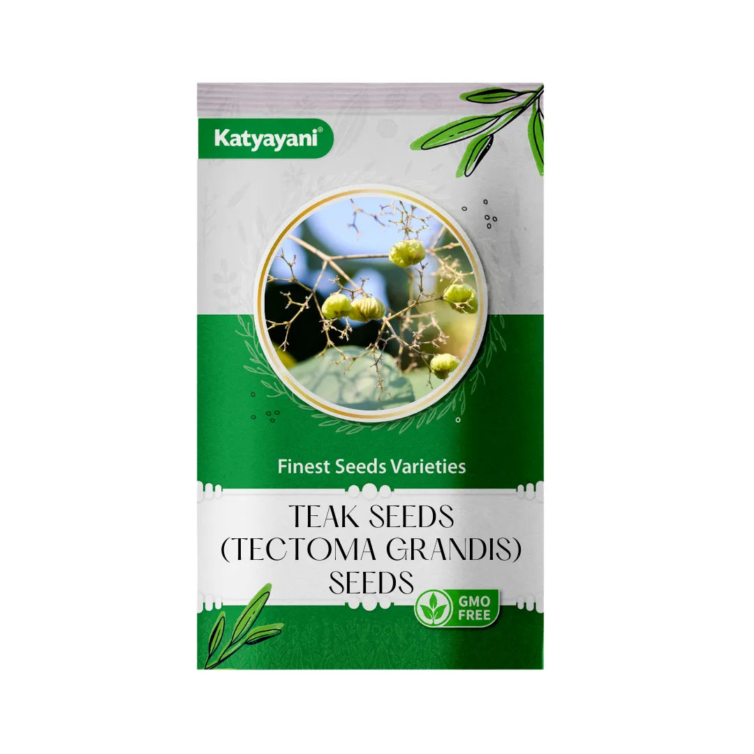 GGV Teak (Tectoma Grandis) 100 g Tree and Grass seeds
