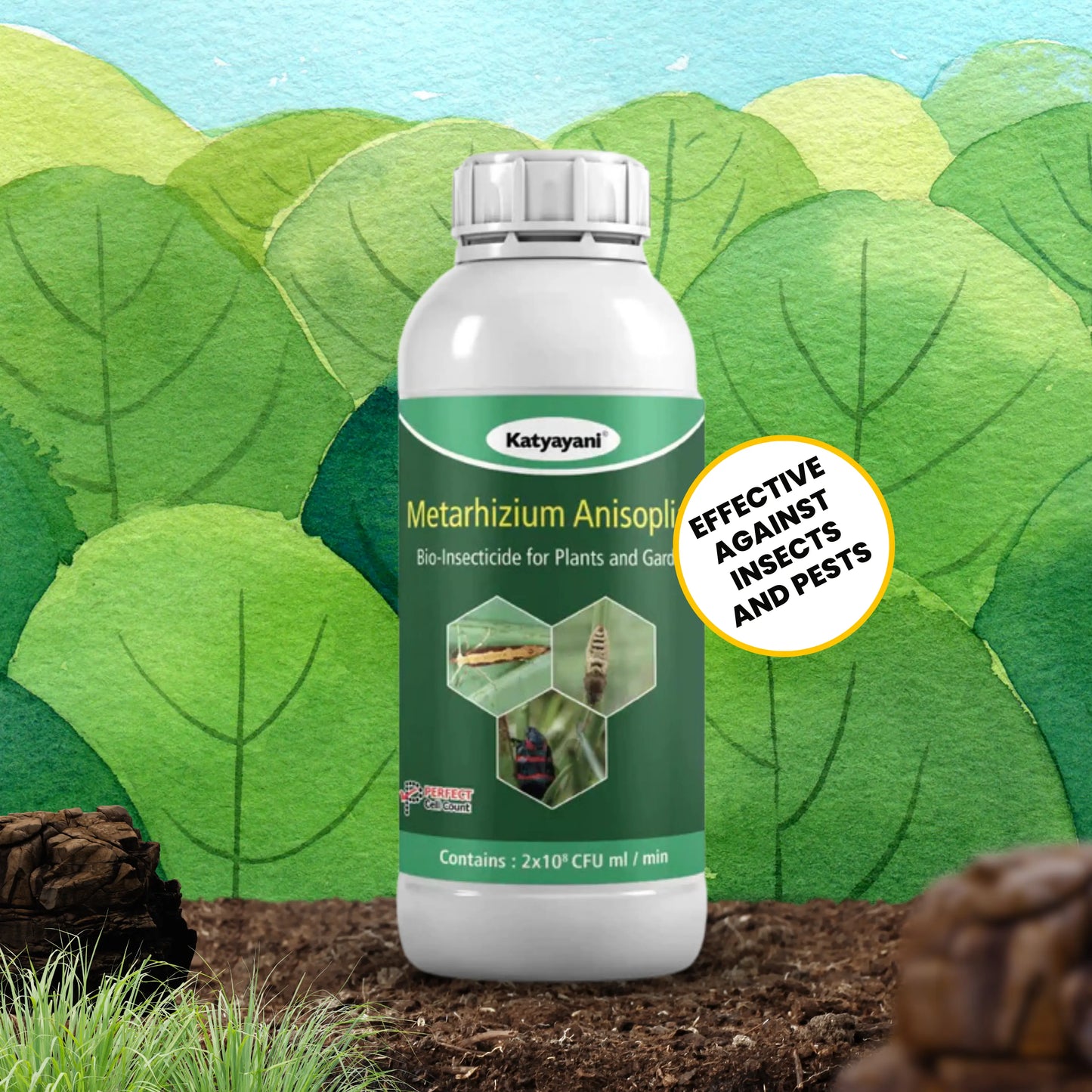 Metarhizium anisopliae بایو پیسٹیسائیڈ