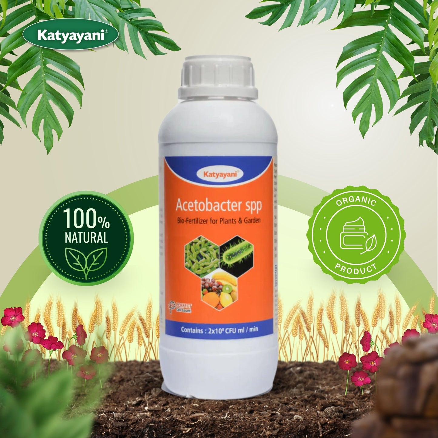 GGV Acetobacter Bio Fertilizer Katyayani Acetobacter – The Natural Nitrogen Provider