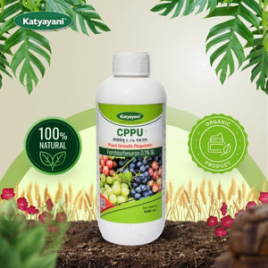 GGV CPPU Triple Yield Pack – Buy 1, Get 2 Free | Forchlorfenuron 0.1% for Bigger & Better Fruits