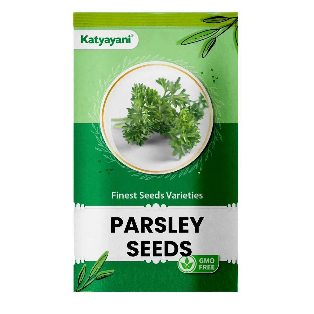 GGV Parsley Curled Herb Seeds( 571mg x 3)