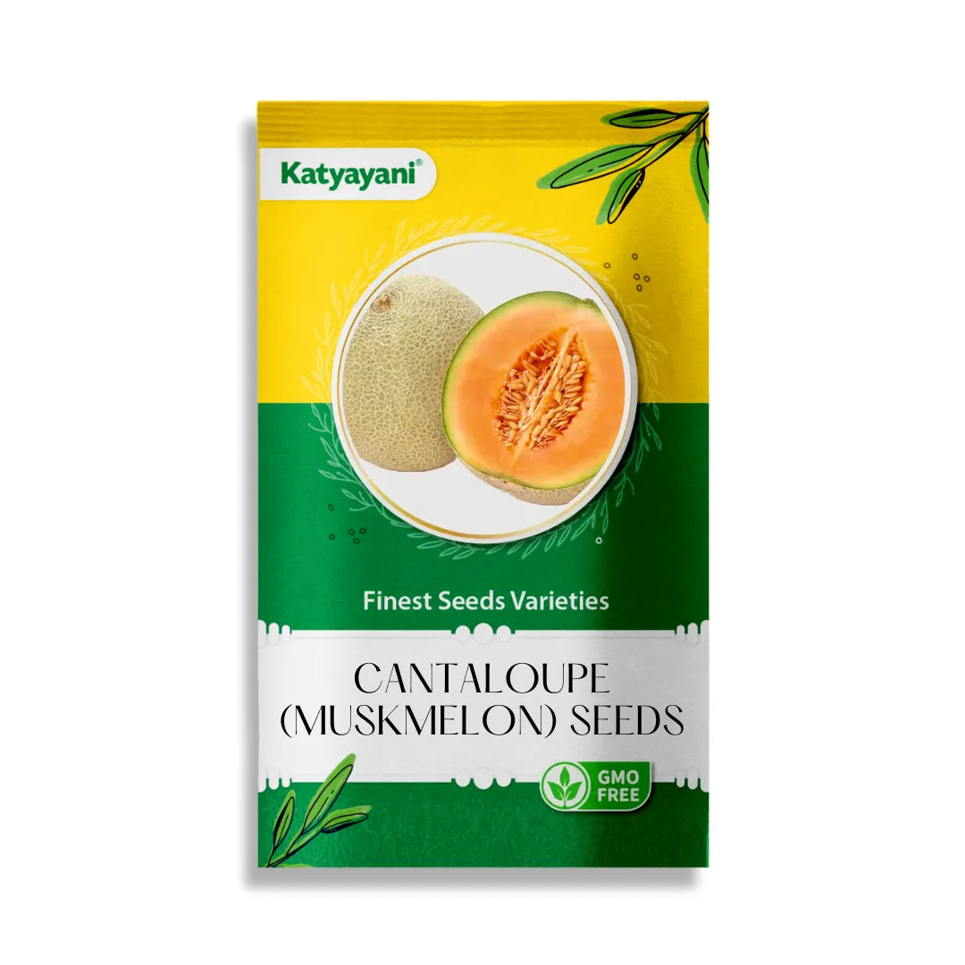 GGV Cantaloupe (Muskmelon) Fruit Seeds