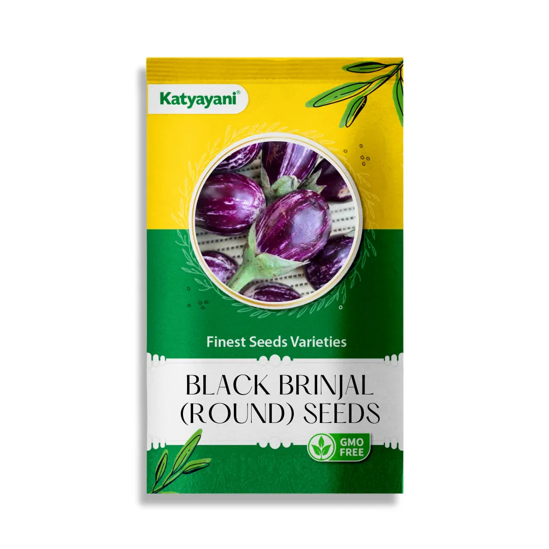 GGV Black brinjal (round) Vegetable Seeds