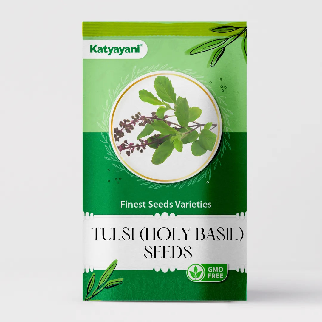 GGV Tulsi (Holy Basil) Herb seeds