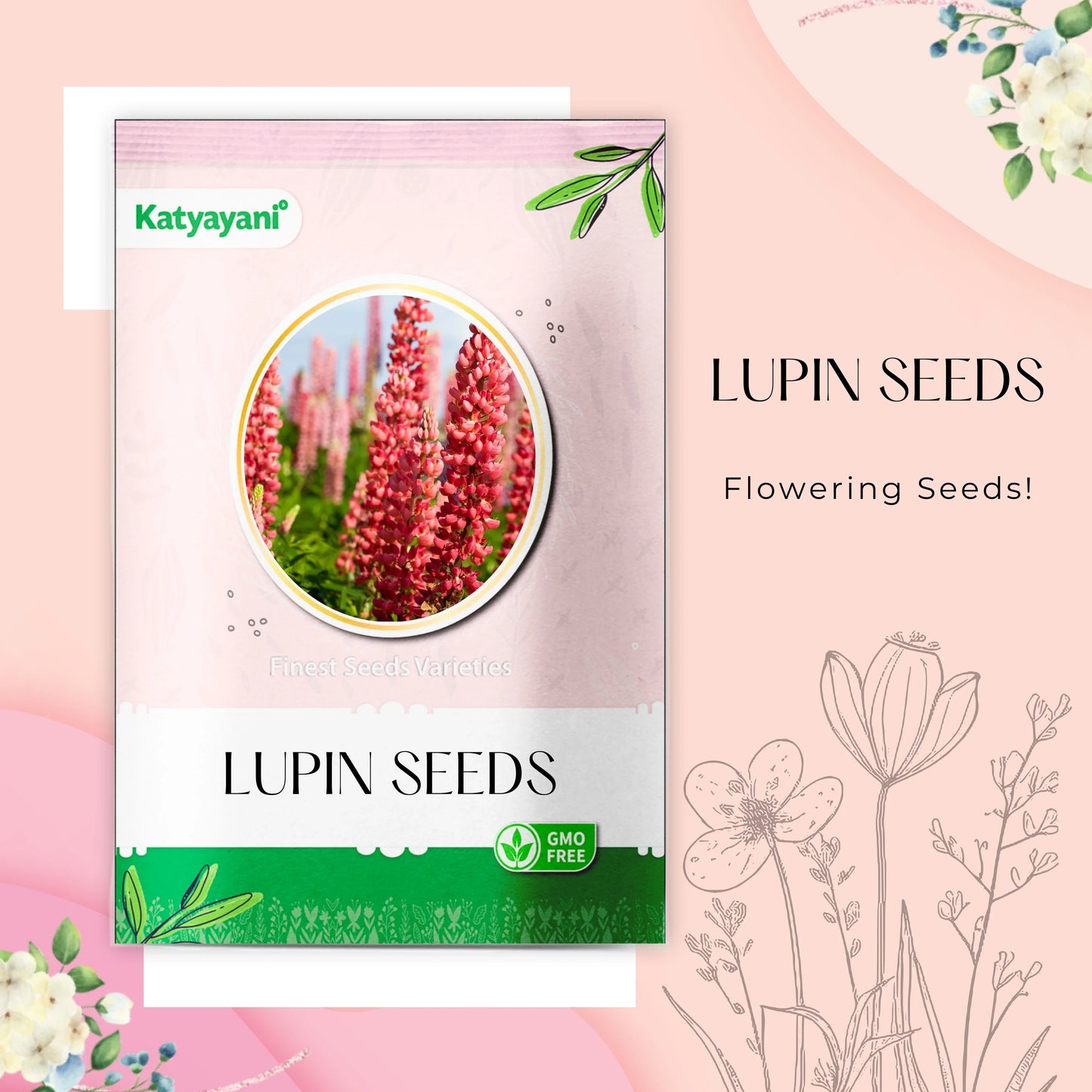 GGV Lupins Flowering Seeds