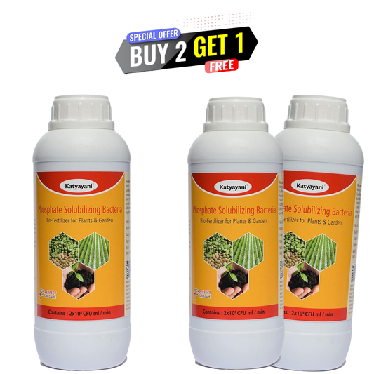 GGV Phosphate Solubilizing Bacteria Bio fertilizer PSB – Natural Phosphorus Power for UAE Farming 🇦🇪