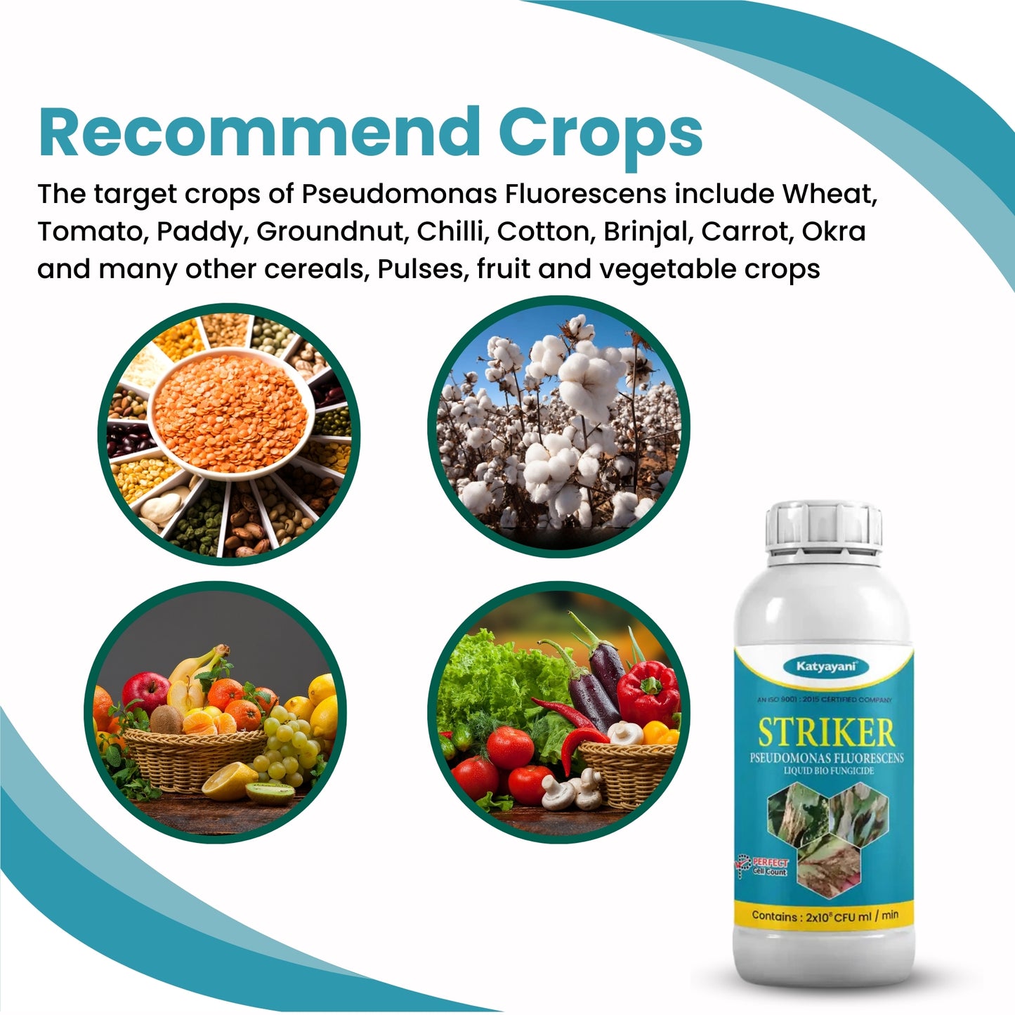 Katyayani Pseudomonas Fluorescens Bio Fungicide – Organic Plant Disease Controller for Sustainable Farming | Buy 1 Get 2 Free