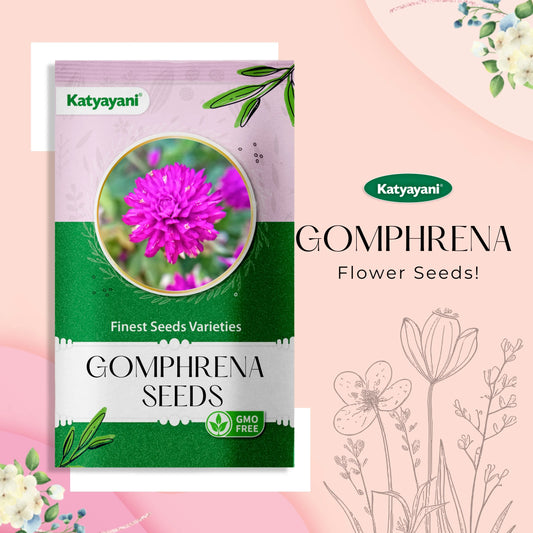 GGV Gomphrena QIS ORANGE flowering seeds