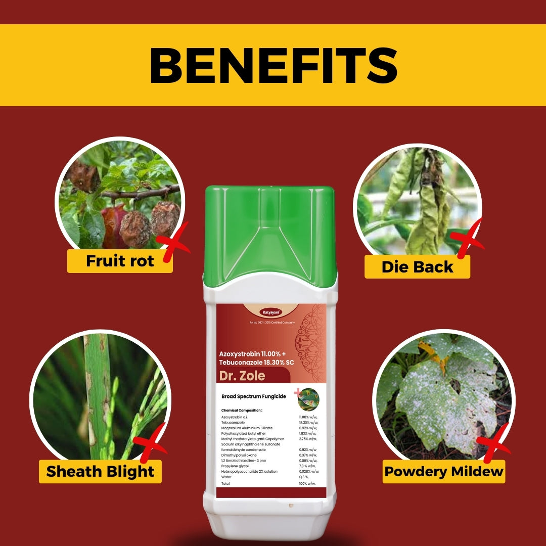 GGV Dr. Zole | Azoxystrobin 11% + Tebuconazole 18.3% SC đ„ Systemic Fungicide for Powdery Mildew, Blight & Rust đ Buy 1 Get 2 Free