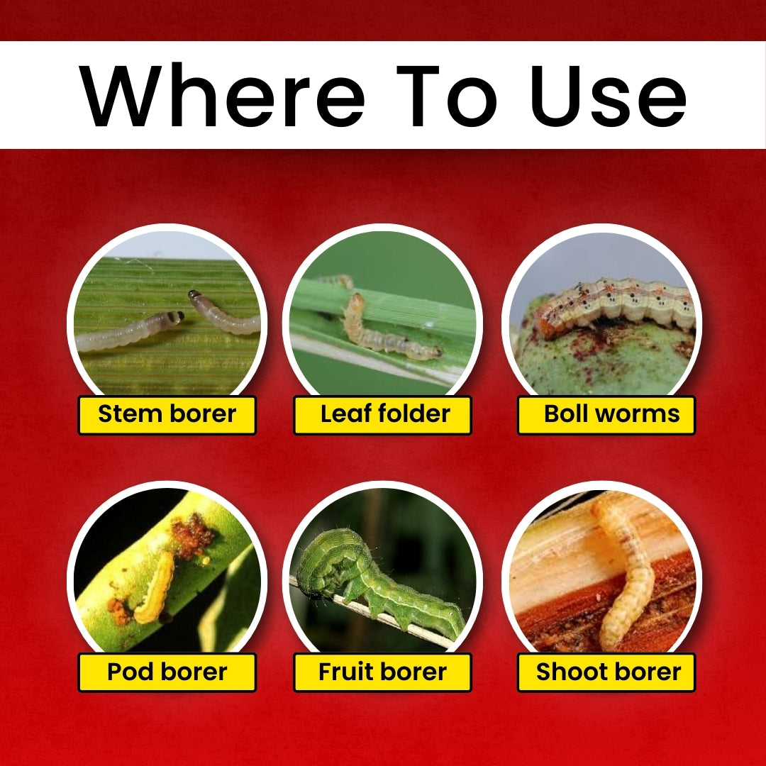 GGV Katyayani Chakraveer – Chlorantraniliprole 18.5% SC Broad-Spectrum Insecticide for Crop Protection Buy 1 Get 2 Free