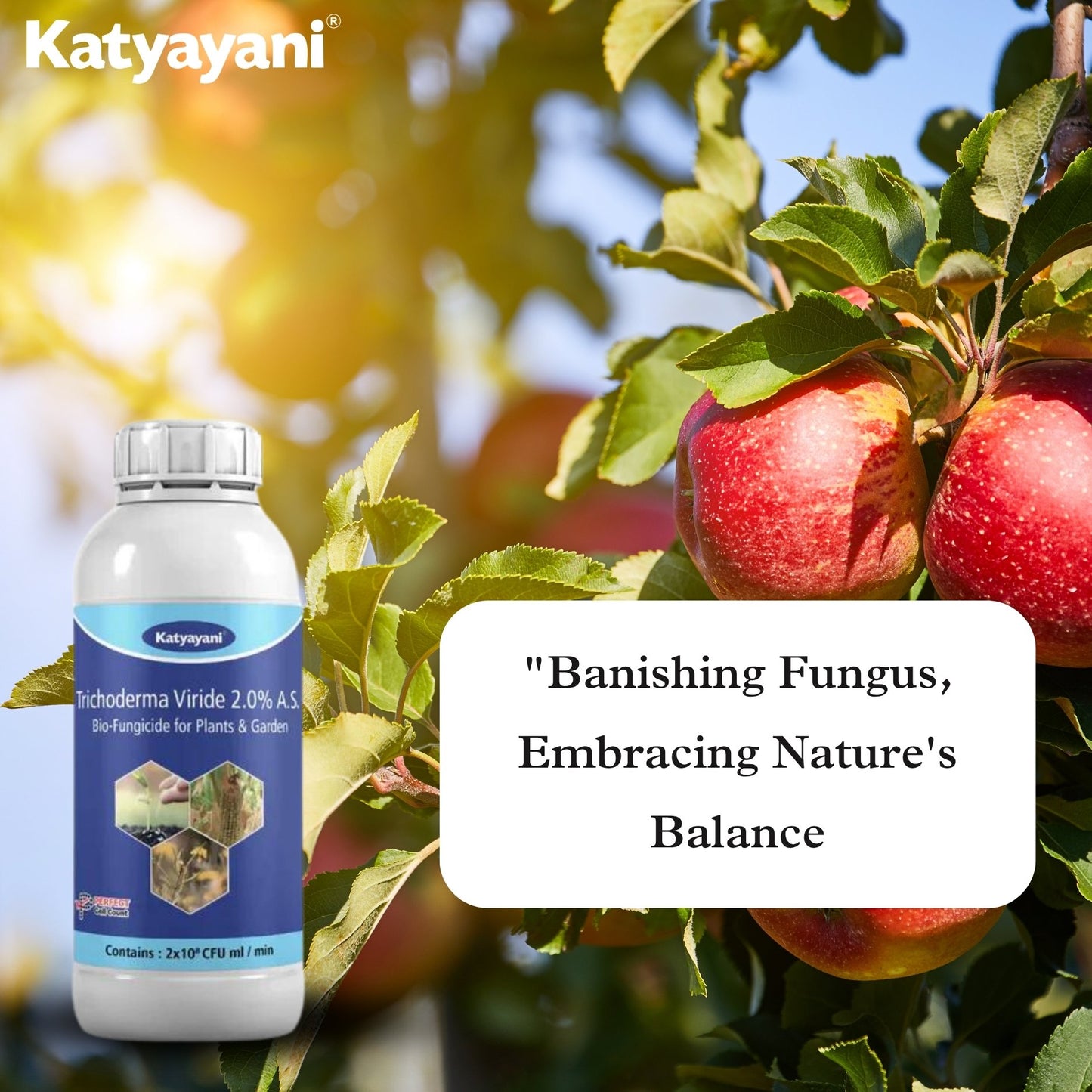 ٹرائیکوڈرما وائرائیڈ بائیو فنگسائیڈ