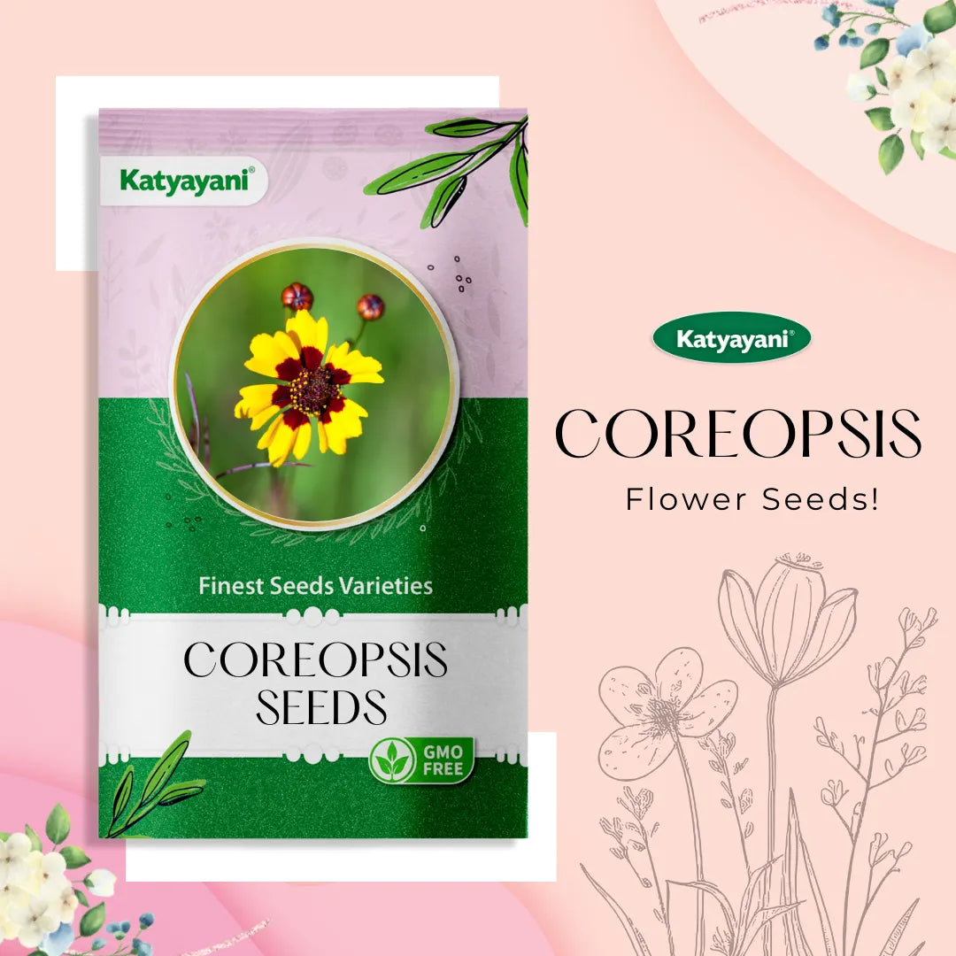 GGV Coreopsis Flowering Seeds