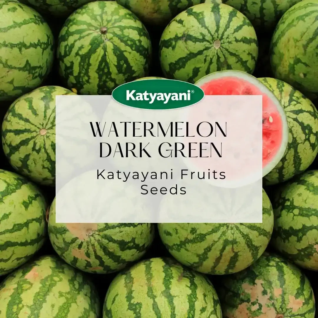 GGV Watermelon Dark Green Fruit seeds