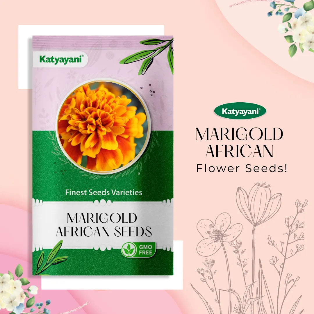 GGV Marigold African Yellow Flowering Seeds
