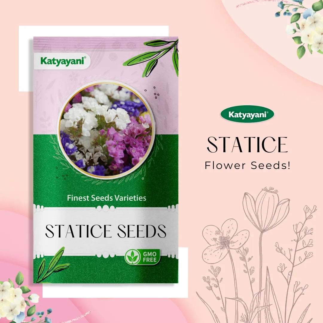GGV Statice Mix Flowering Seeds