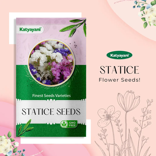 GGV Statice Mix Flowering Seeds