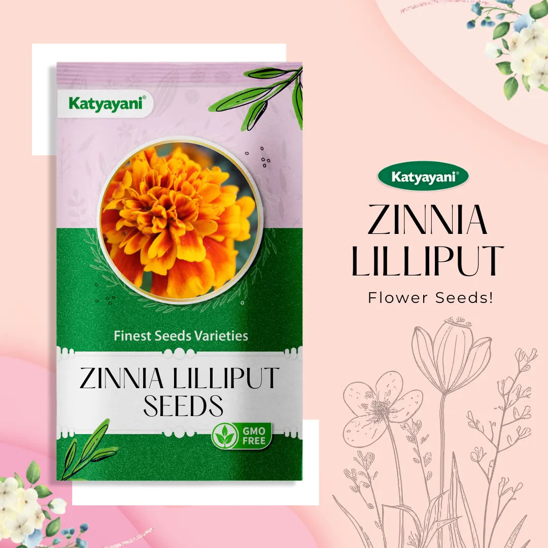 GGV Zinnia Lilliput Mix Flowering Seeds