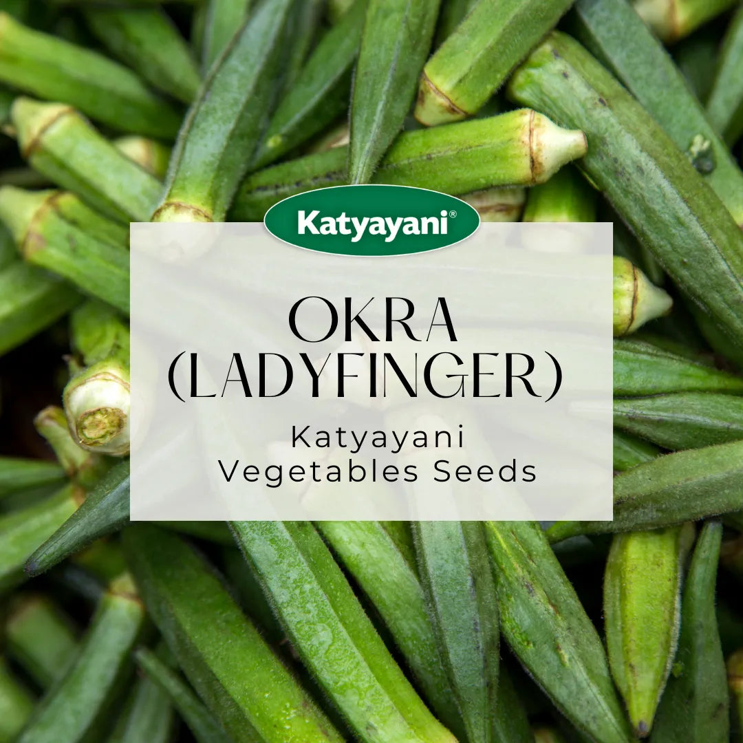GGV Okra (lady finger) Vegetable Seeds