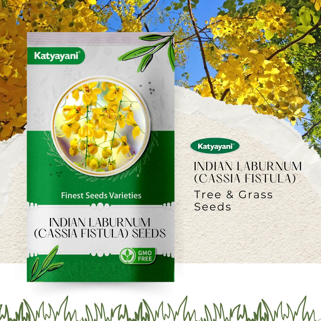 GGV Indian Laburnum (Cassia Fistula) Tree and Grass Seeds