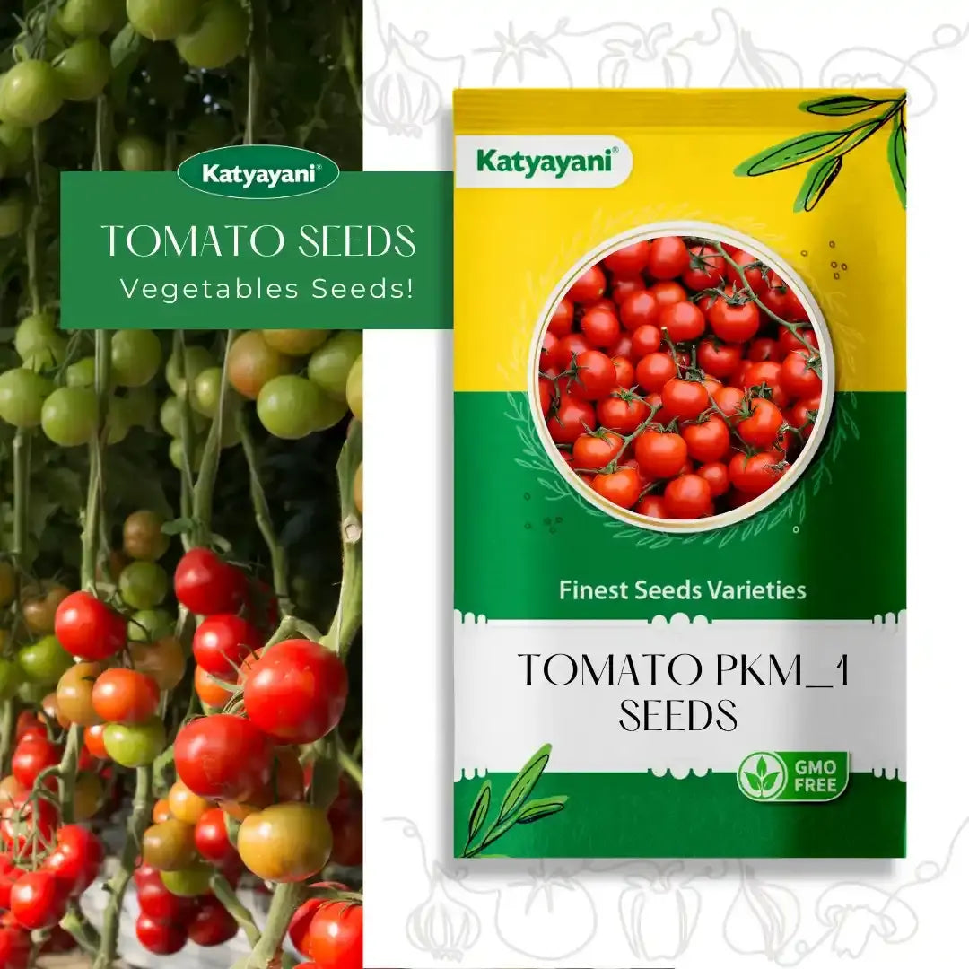 GGV Tomato Pkm-1 Vegetable Seeds