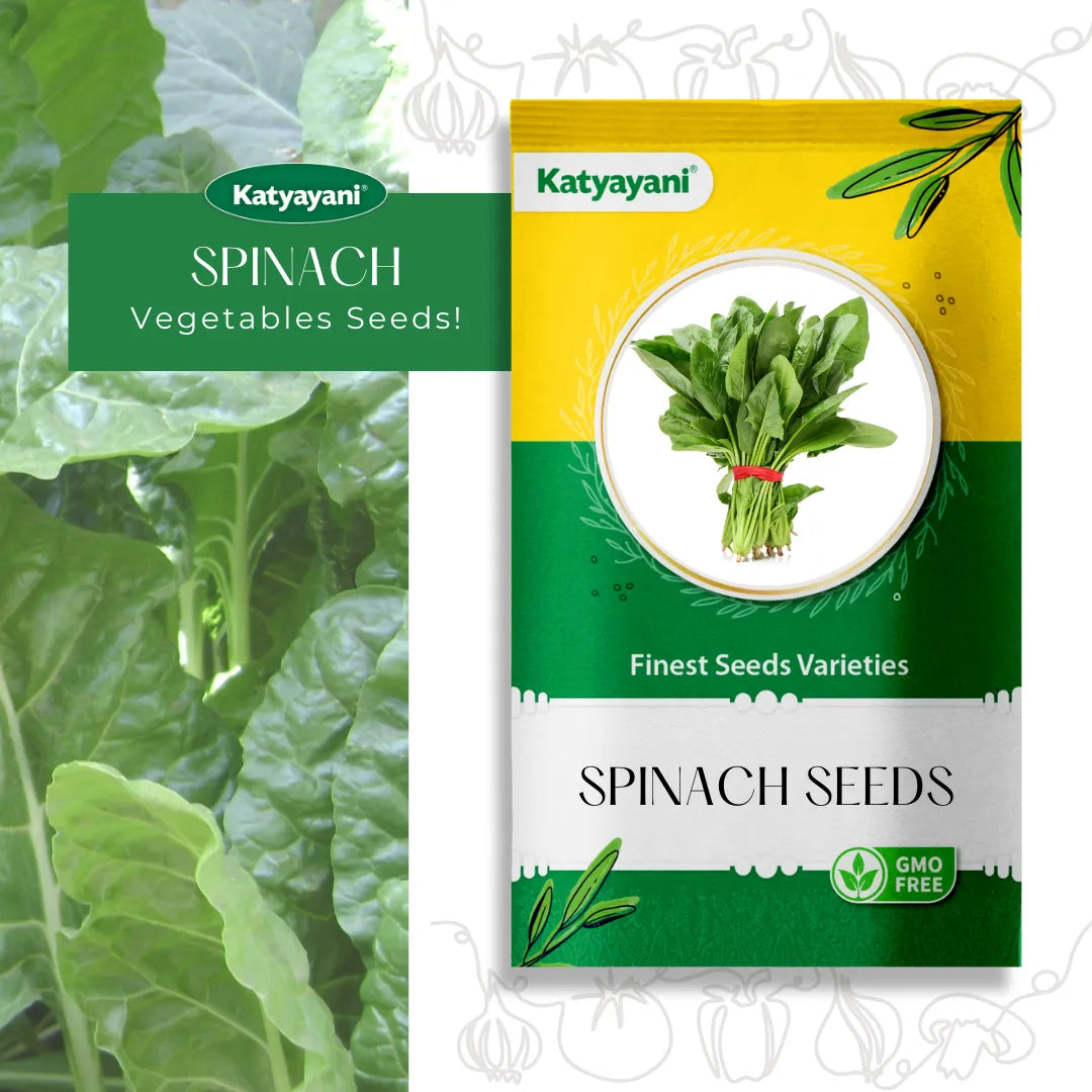 GGV Spinach (Palak) Microgreen Seeds