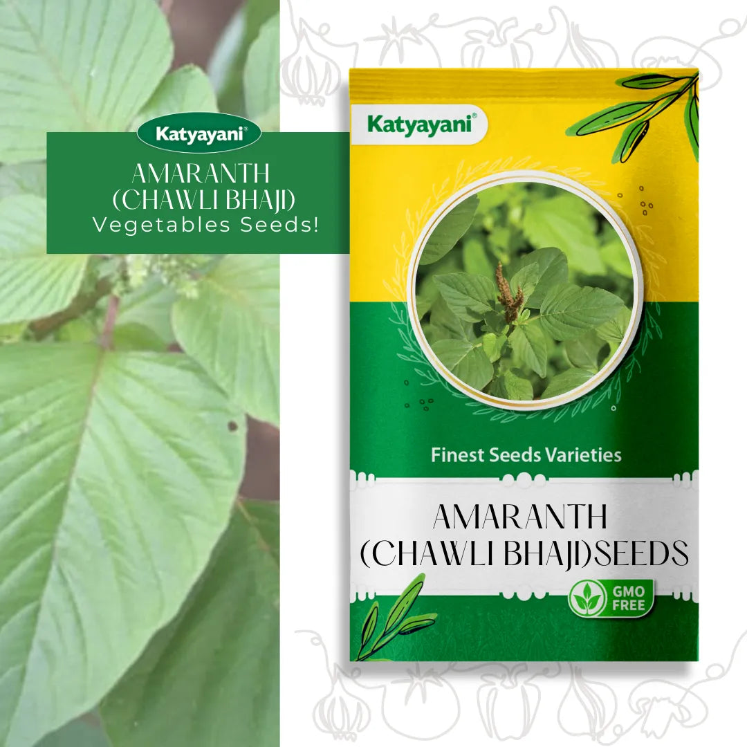 GGV Amaranth (Chawli Bhaji) Vegetable Seeds