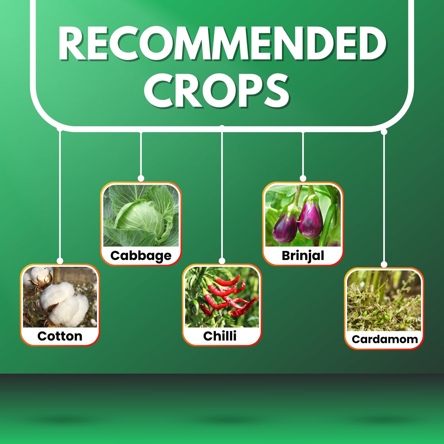 GGV-ASHWAMEDH PLUS (Diafenthiuron 40.1% + Acetamiprid 3.9% WP)