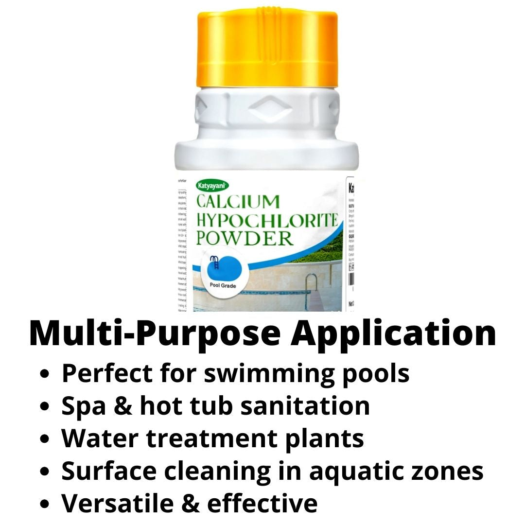 GGV Calcium Hypochlorite Powder 453gm (16oz)-Pool Grade