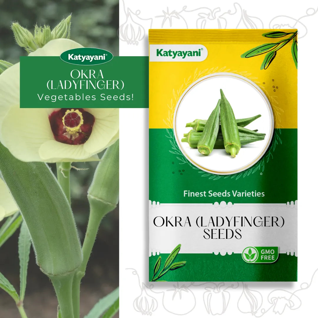 GGV Okra (lady finger) Vegetable Seeds