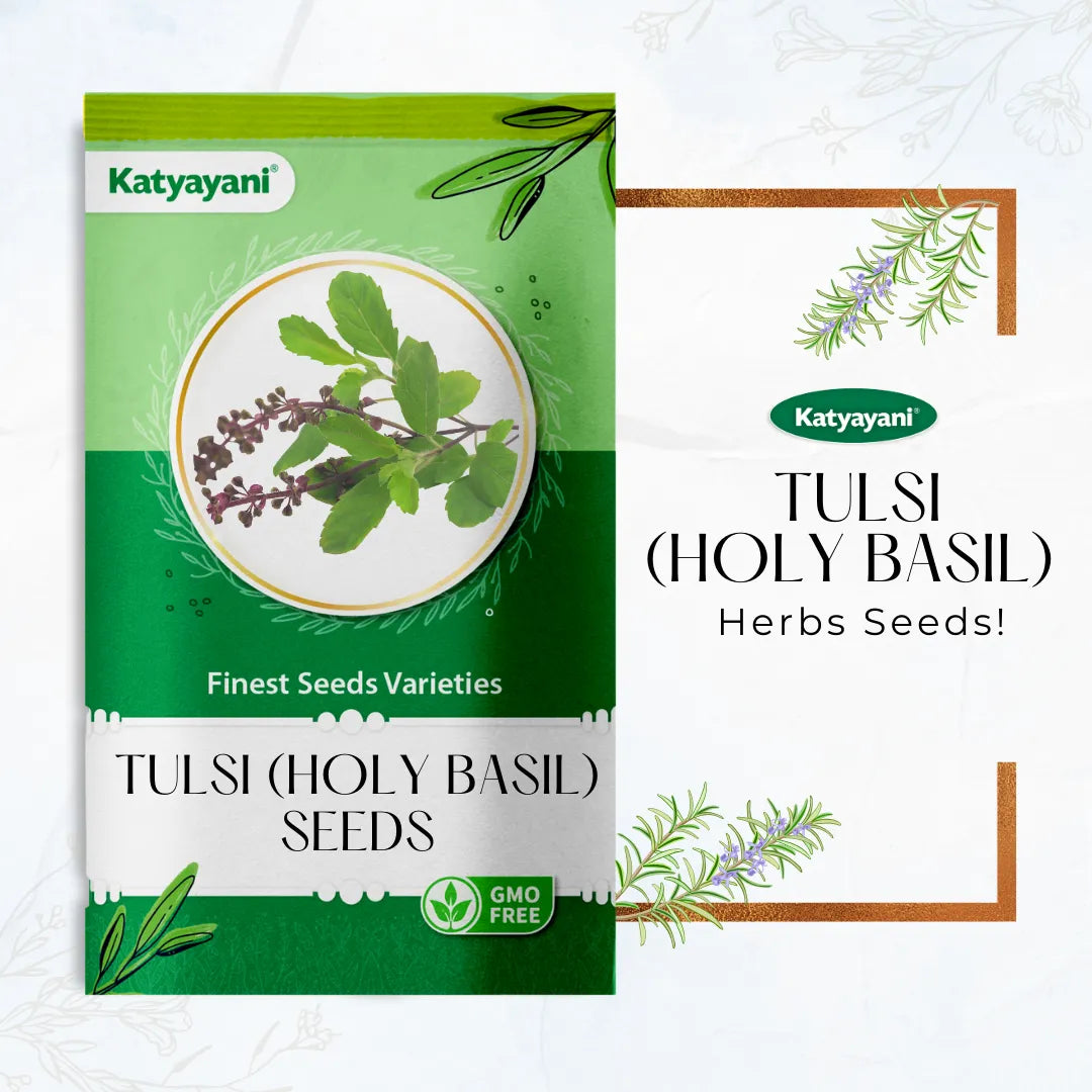 GGV Tulsi (Holy Basil) Herb seeds