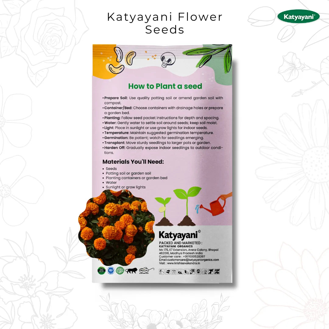 GGV Zinnia Lilliput Mix Flowering Seeds