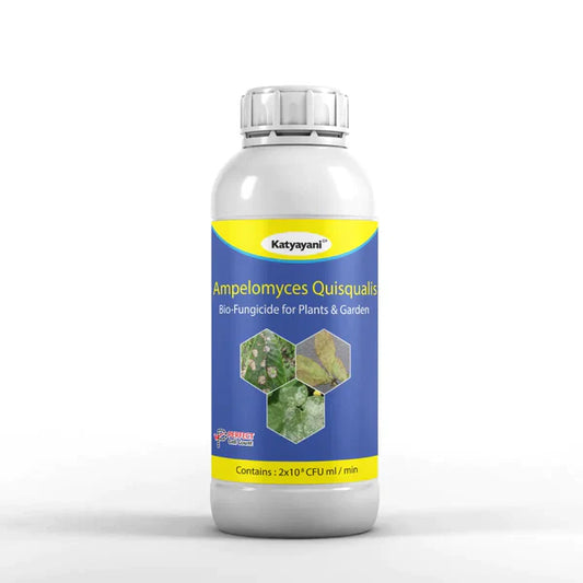 GGV Katyayani Ampelomyces quisqualis Bio-Fungicide – Organic Solution for Powdery Mildew & Fungal Protection