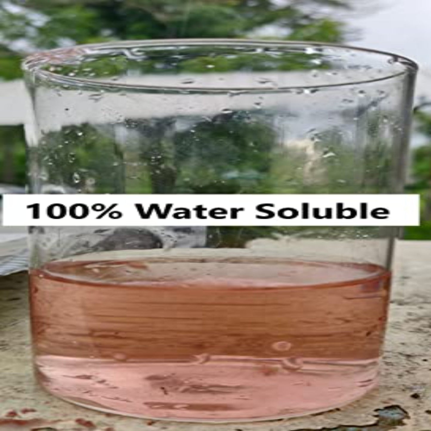 GGV NPK 19 19 19 Plant Food Fertilizer with Booster for Plants & Home Garden